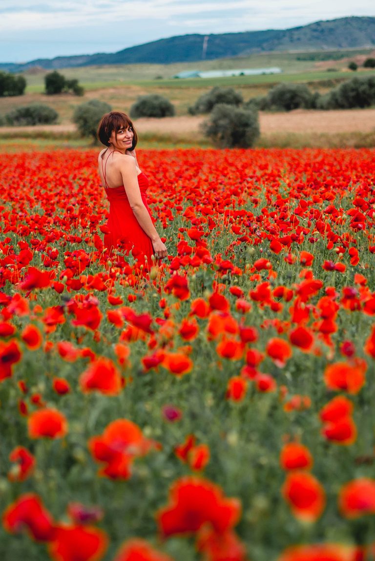 Campos de amapolas